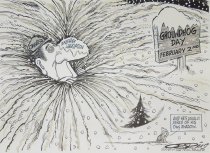 'And he's usually afraid of his own shadow'